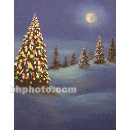 Studio Dynamics Canvas Scenic Background (10 x 12', Midnight Clear )