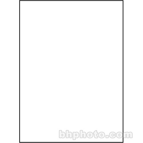 Studio Dynamics 14x20' Muslin Background -Solid White