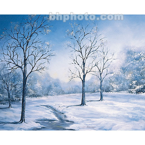 Studio Dynamics Canvas Scenic Background (7 x 7', Winter Morn )