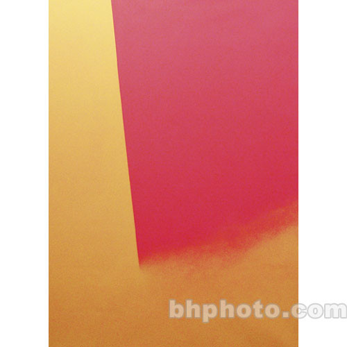 Studio Dynamics Canvas Background, Studio Mount - 8x10' - Contempo