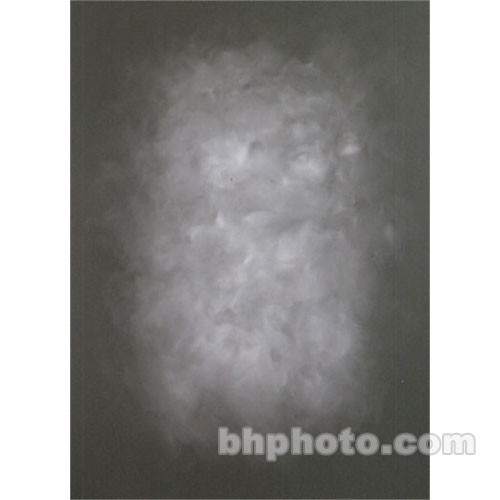 Studio Dynamics 8x10' Canvas Background SM - Wyndham