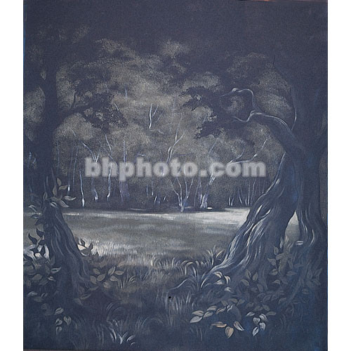 Studio Dynamics Canvas Scenic Background (8 x 12', Fernwood)