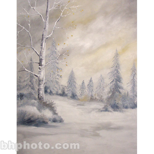 Studio Dynamics Canvas Scenic Background (8 x 12', Birch Splendor )