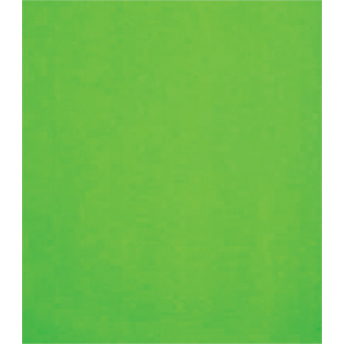 Studio Dynamics 8x16' Canvas Background SM - Chroma Key Green