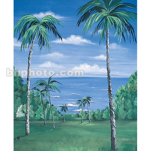 Studio Dynamics Canvas Scenic Background (9 x 20', Nassau)