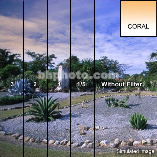 Tiffen 2 x 2" 1/4 Coral Soft-Edge Graduated Filter
