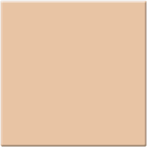 Tiffen 2 x 2" Nude/FX 2 Filter
