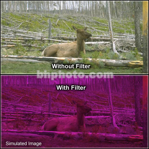 Tiffen 2 x 3" 3 Plum Hard-Edge Graduated Filter (Vertical Orientation)