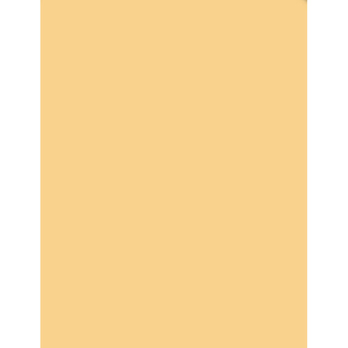 Tiffen 2 x 3" 4 Coral Solid Color Filter