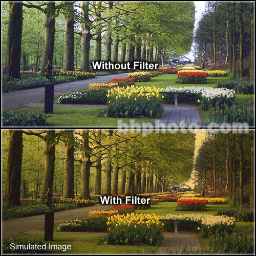 Tiffen 2 x 3" 2 Tangerine Solid Color Filter