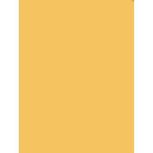 Tiffen 2 x 3" 1 Tobacco Solid Color Filter