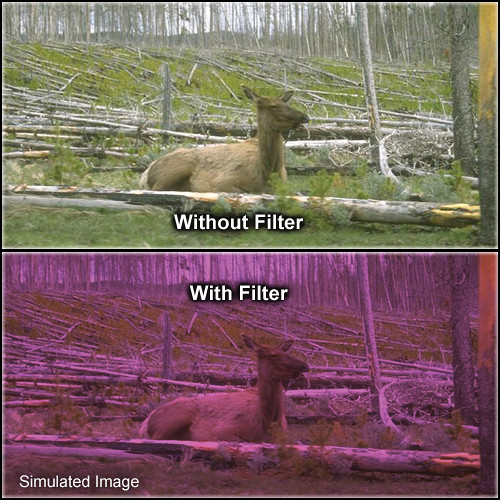 Tiffen 3 x 3" 2 Plum Solid Color Filter