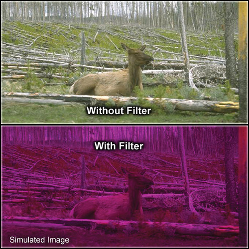 Tiffen 3 x 3" 3 Plum Solid Color Filter
