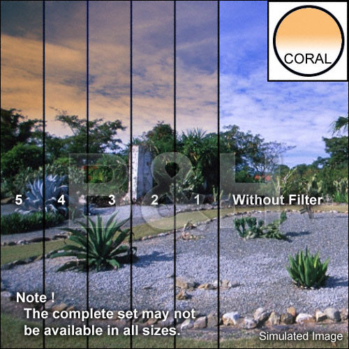 Tiffen 4 x 4" 4 Coral Soft-Edge Graduated Filter