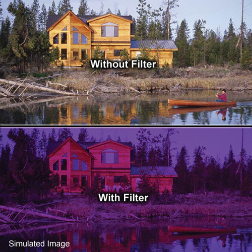Tiffen 4 x 5.65" 3 Grape Solid Color Filter