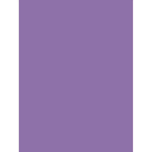 Tiffen 4 x 5.65" 2 Plum Solid Color Filter