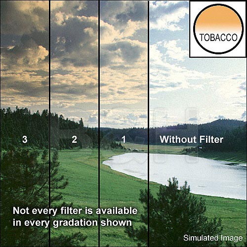 Tiffen 4 x 5" 2 Tobacco Hard-Edge Graduated Filter (Vertical Orientation)