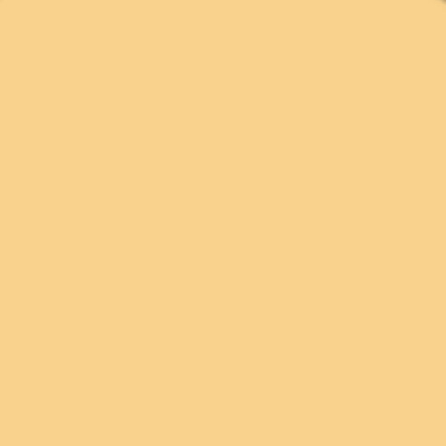 Tiffen 4 x 5" 4 Coral Solid Color Filter