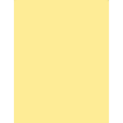 Tiffen 5 x 6" 1/2 Coral Solid Color Filter