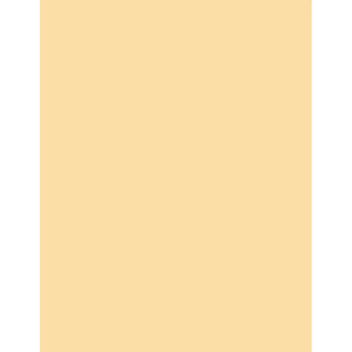 Tiffen 5 x 6" 2 Coral Solid Color Filter