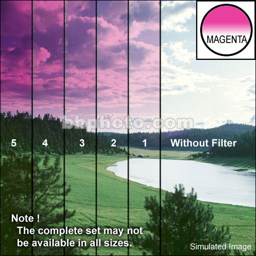 Tiffen 4 x 6" 5 Magenta Soft-Edge Graduated Filter (Vertical Orientation)