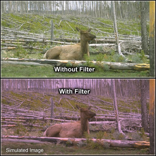 Tiffen 6 x 6" 1 Plum Solid Color Filter