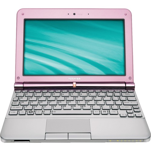 Toshiba mini NB205-N330/PK 10.1" Netbook Computer (Posh Pink)