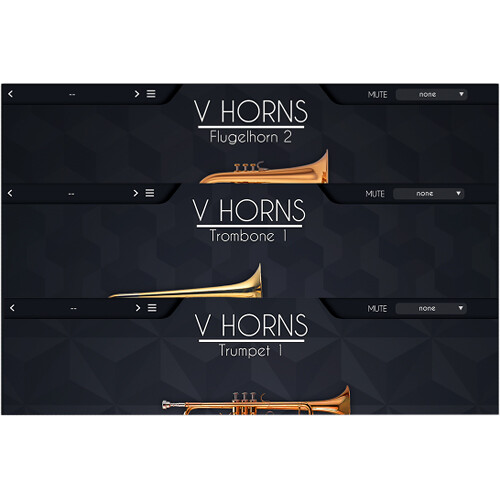 acousticsamples VHorns Brass Section Software (Download)
