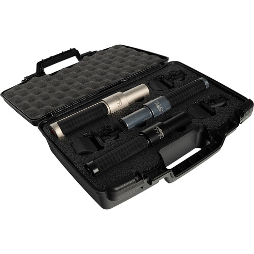 AEA Ribbon Mics AEA N8, N13, and N22 Microphone Kit with Three Nuvo Shockmounts and Flight Case