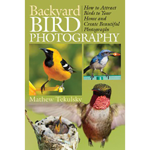 bird photography book