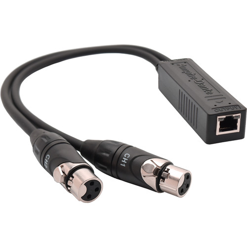 Amphenol Amphe-Dante RJ45 Audio Adapter with Two XLR Inputs (19.7")