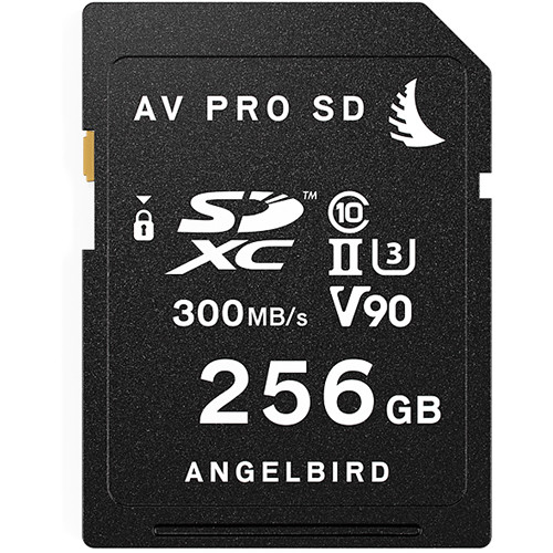 Angelbird 256GB AV Pro UHS-II SDXC Memory Card (2-Pack)