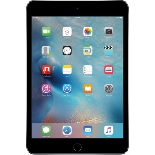 Apple 64GB iPad mini 4 (Wi-Fi Only, Space Gray)