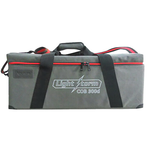 Aputure Carrying Case for LS 300 Series