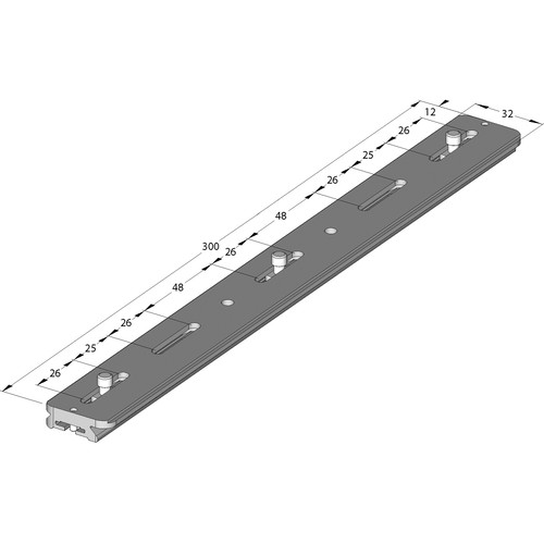 Arca-Swiss Cameraplate 300 Quick Release Plate for MonoballFix (11.8")