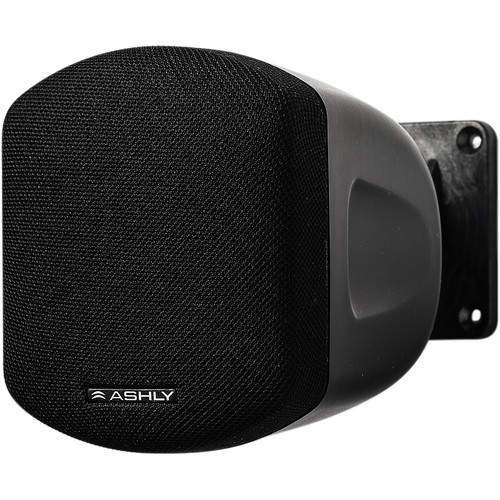 Ashly 2.5" Passive Full Range All Weather Speaker (Pair)