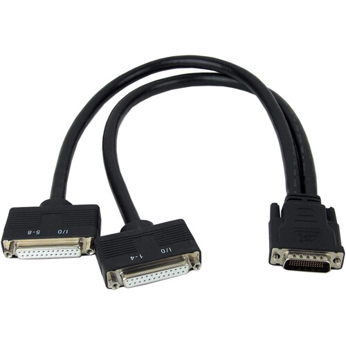 Avid Pro Tools MTRX AES LFHSUB to Two DB25 Breakout Cable