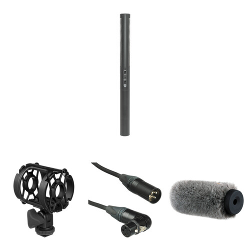 Azden SGM-250 Shotgun Microphone with Shockmount, Windshield,