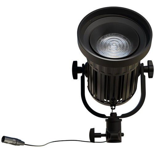 BB&S Lighting CFL Tungsten LED Fresnel Light (Black)
