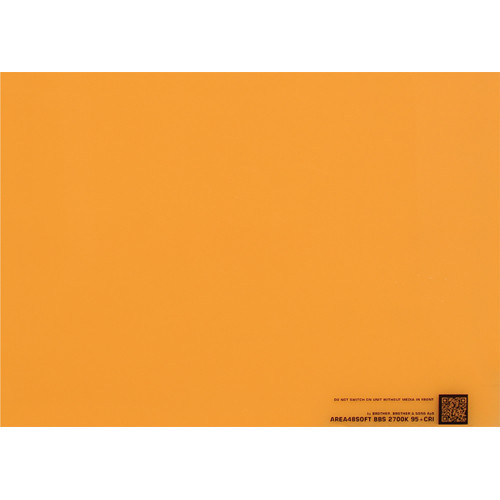 BB&S Lighting Interchangeable 2700K Phosphor Panel for Area 48 LED Light