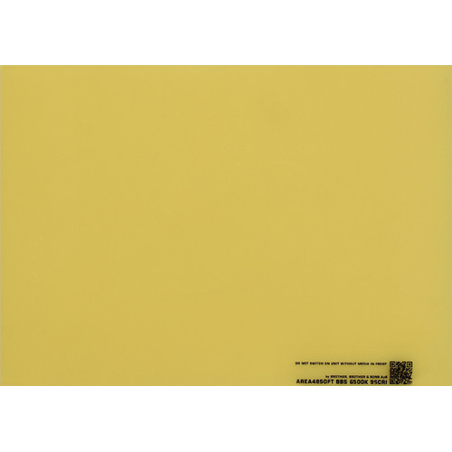 BB&S Lighting Interchangeable 6500K Phosphor Panel for Area 48 LED Light