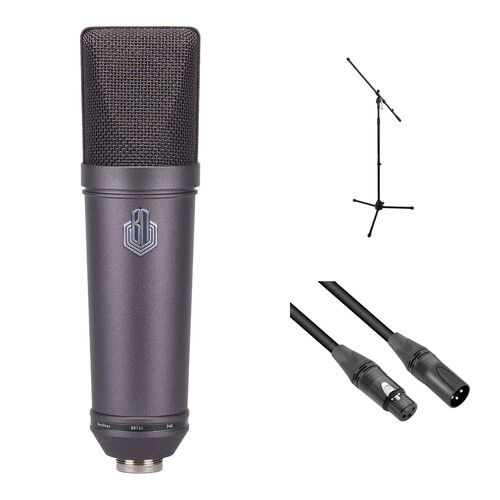 BeesNeez B87iC Large-Diaphragm Cardioid Condenser Microphone Kit with Stand and Cable
