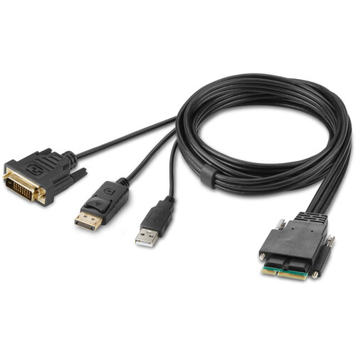 Belkin Modular DVI and DP Dual-Head Host Cable (6')
