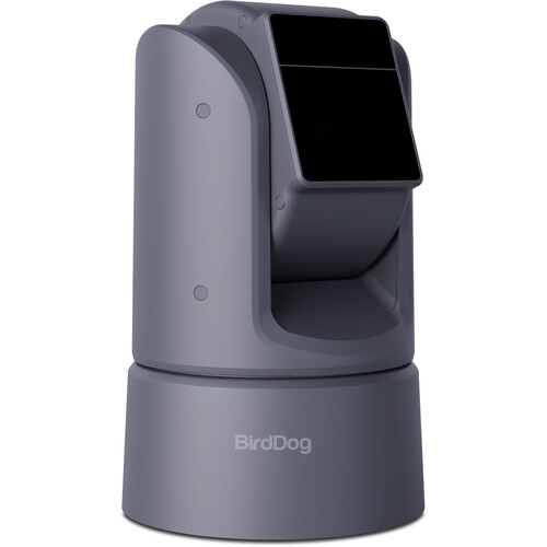 BirdDog O4 Outdoor PTZ Camera with 30x Optical Zoom (Gray)