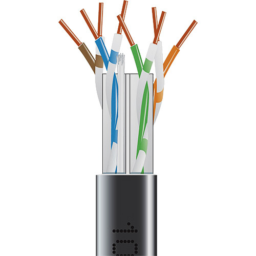 Black Box GigaTrue Cat6 550MHz Solid Ethernet Bulk Cable - CMP Plenum (1000', Black)