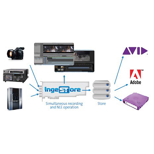 Bluefish444 INGSTDNXHD Fluid DNxHD Ingestore Codecs Software Upgrade