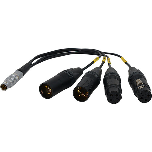 Bolin Technology BLA-10 10-Pin LEMO Connector to XLR Breakout Audio Cable (10.5")