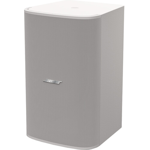 Bose Professional DesignMax DM10S 10" Passive Subwoofer (White)