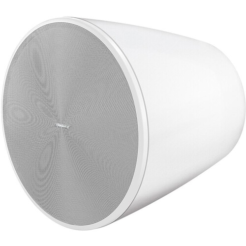 Bose Professional DesignMax DM10P-Sub 300W 10" Passive Subwoofer (White)