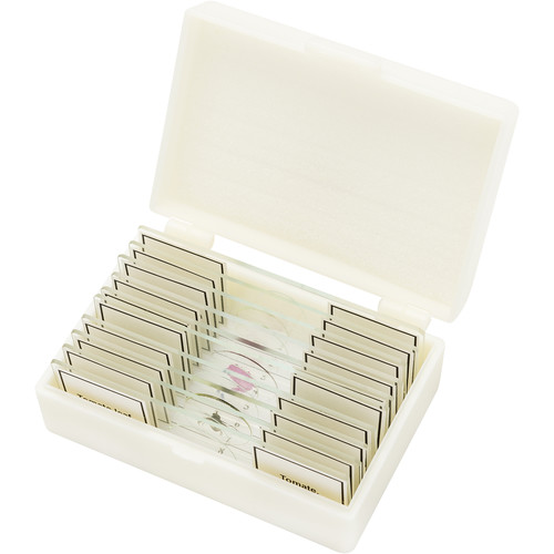 BRESSER High-Quality Prepared Slides (Set of 10)